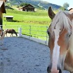 Gospodarstwo agroturystyczne Poltehof Fiss