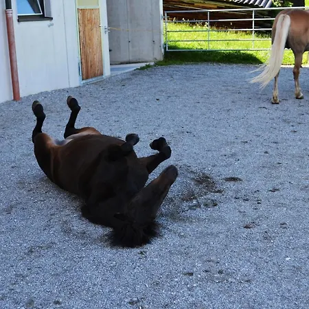 Poltehof בית חווה