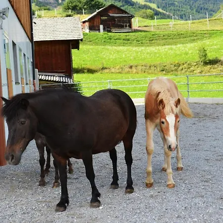 Alojamento de Turismo Rural Poltehof *