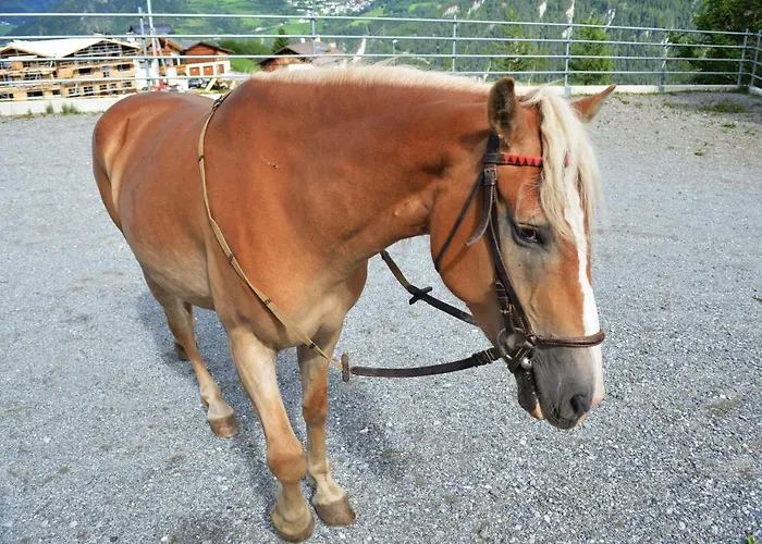 珀特霍夫酒店 * 费斯