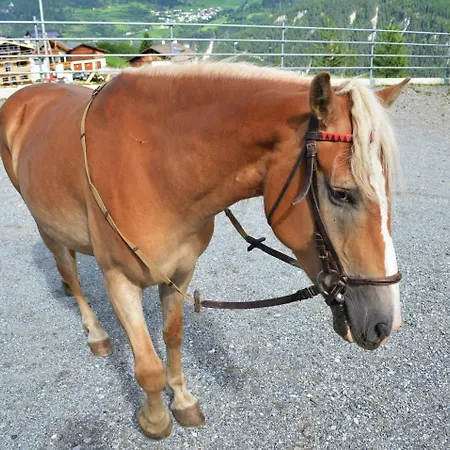 Poltehof * Fiss