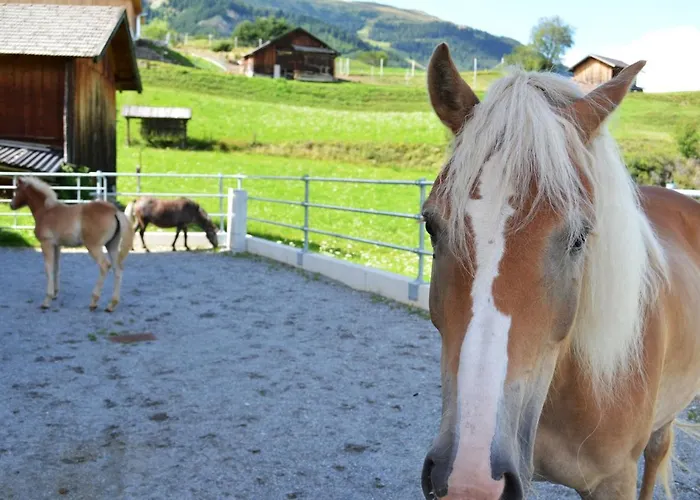 Farm stay Poltehof Fiss
