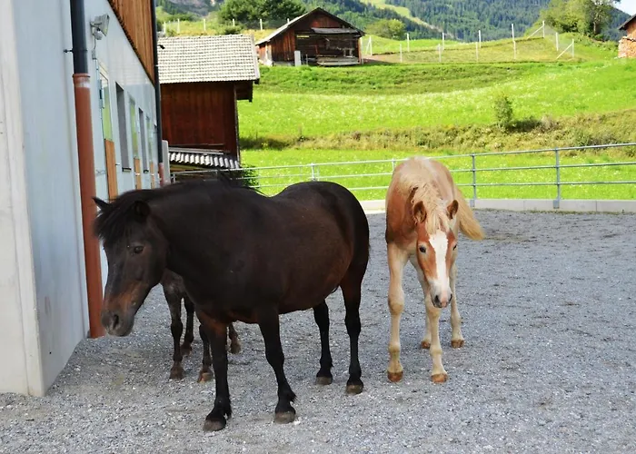 Farm stay Poltehof *